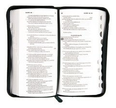 Biblia Tipo Billetera Verde. en internet