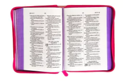 Santa Biblia Bicolor Lila-salmón. - El Maestro Tejedor