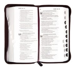 Biblia Tipo Billetera Vinotinto Con Cierre E Indice. - comprar online