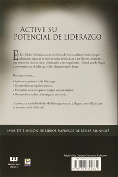 Convirtiéndose en un líder en internet