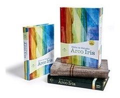 Biblia De Estudio Arco Iris Gris Pizarra Rvr 1960 Indice - comprar online