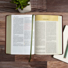 Biblia NBLA/Tematica De Estudio/Cafe Simil Piel - comprar online