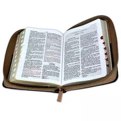 BIBLIA AGUILA IMITACION PIEL- MARRON REINA VALERA 1960, CANTO DORADO en internet