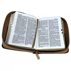 BIBLIA AGUILA IMITACION PIEL- MARRON REINA VALERA 1960, CANTO DORADO - comprar online
