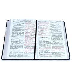 Biblia /RVR6085c Letra Gigante 15 ptos PJR Esplendor Buen Pastor - comprar online