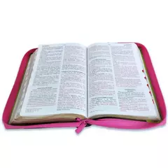 Biblia Fucsia Verde Cierre Índice Reina Valera 1960 - El Maestro Tejedor