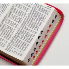 Biblia Fucsia Verde Cierre Índice Reina Valera 1960 en internet