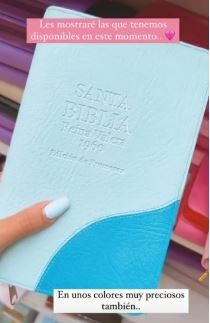 Biblia Edicion Promesas Con Cierre Azul Cielo RVR 1960