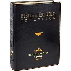 Biblia De Estudio Teologico (Negra)