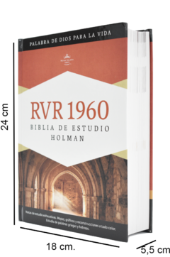 Biblia De Estudio/holman/rvr1960/multicolor/tapa Dura - tienda online