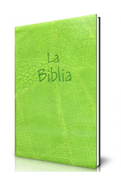 Biblia flexible cierre verde oliva