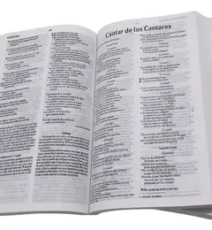 Biblia NVI Ultrafina Rustica Circulos - comprar online