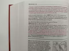Biblia NTV Estudio Diario Vivir Sentipiel Gris-Verde en internet