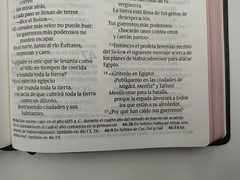 Biblia Letra Gigante Edicion Clasica Sentipiel Negro NTV en internet