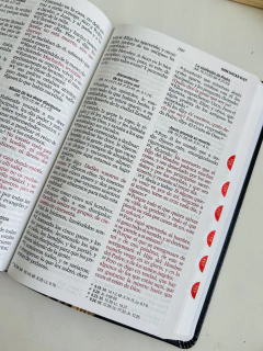 Biblia Negro Trigo con indice RVR1960