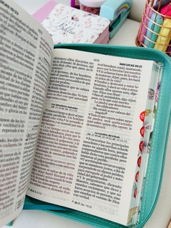 Imagen de Biblia letra grande RVR Mariposas turquesa