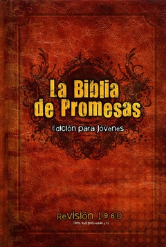 La biblia de promesas edición para jóvenes - Hombres RVR 1960 - tienda online