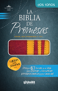 Biblia De Promesas RVR Edicion Jovenes Hombres Simil Piel Rojo-Amarillo