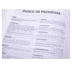 Biblia de Promesas Manual Imitación Piel Fucsia Reina Valera 1960 - El Maestro Tejedor