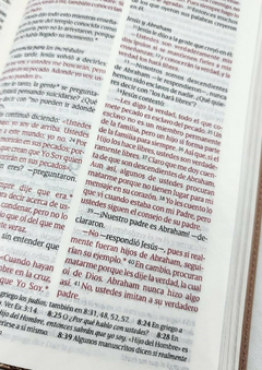 Biblia NTV Edición Personal Letra Grande Rosado Metálico - El Maestro Tejedor