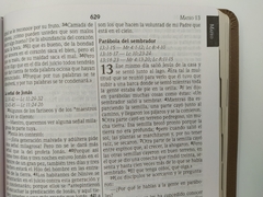 Biblia tipo agenda NVI marrón - tienda online