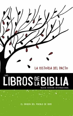 Libros De La Biblia NVI Historia Del Pacto