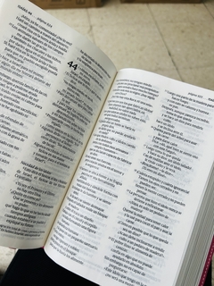 Biblia NTV Edición Personal - Letra Grande Rosada Flores en internet