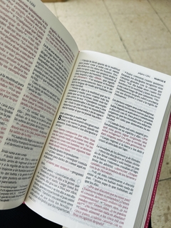 Biblia NTV Edición Personal - Letra Grande Rosada Flores