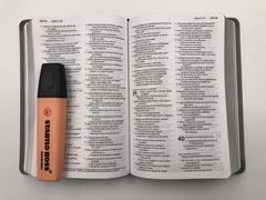 Biblia NTV Compacta Gris - comprar online