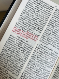 Imagen de Biblia Eco Flex León Letra grande Canto plateado