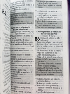 Biblia Edicion Promesas Con Cierre Lila Flores RVR 1960 en internet