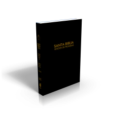 Biblia de Promesas Letra Grande color negro RVR