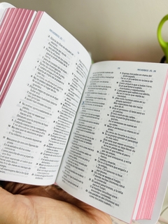 Imagen de Biblia Mini Bolsillo RVR 1960 Canto Rosado