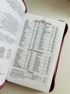 Biblia Letra grande rosada con cierre RVR 1960 en internet