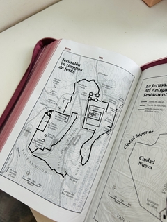 Biblia Letra grande rosada con cierre RVR 1960 en internet