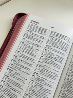 Biblia Letra grande rosada con cierre RVR 1960 - El Maestro Tejedor