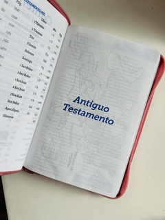 Biblia Valiosa Verde Menta Canto Plateado con cierre TLA
