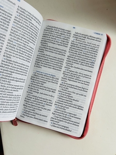 Biblia Valiosa Verde Menta Canto Plateado con cierre TLA - comprar online