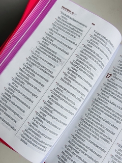 Biblia Fucsia RVR 1960 Letra grande