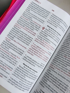 Biblia Fucsia RVR 1960 Letra grande en internet