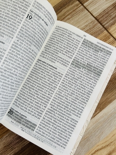 Santa Biblia de Promesas RVR-1960, Jesús para todos, Letra Grande, Tamaño Manual, Piel especial, Marfil