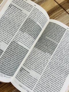 Imagen de Santa Biblia de Promesas RVR-1960, Jesús para todos, Letra Grande, Tamaño Manual, Piel especial, Marfil