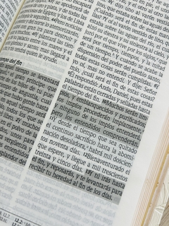 Santa Biblia de Promesas RVR-1960, Jesús para todos, Letra Grande, Tamaño Manual, Piel especial, Marfil en internet