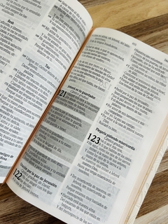 Imagen de Santa Biblia de Promesas RVR-1960, Jesús para todos, Letra Grande, Tamaño Manual, Piel especial, Marfil