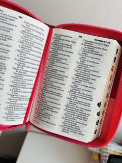 Biblia Bifloral Rosa duotono Imitación Piel, con cierre e Índice RVR 1960 - tienda online