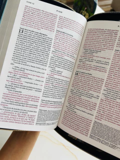 Biblia Ultrafina NTV Ziper Azul Flores