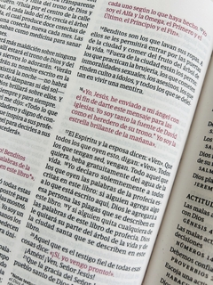 Biblia Ultrafina NTV Ziper Azul Flores en internet