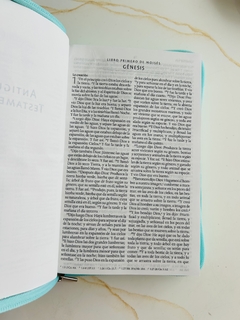 Biblia nombre De Dios Verde menta corazones con cierre RVR1960