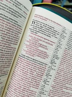 Biblia Edición Ziper Imitación Piel Turquesa NTV Referencias Letra Grande en internet