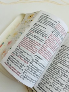 Imagen de Biblia blanco rosado, canto pintado con índice y cierre, letra grande.